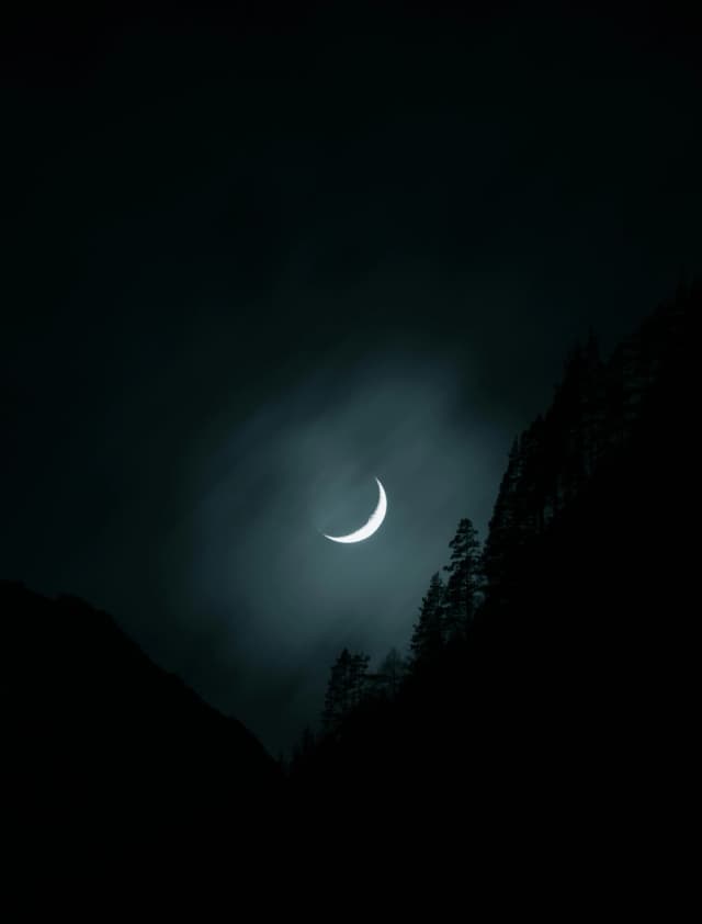 من هم همین‌طور
